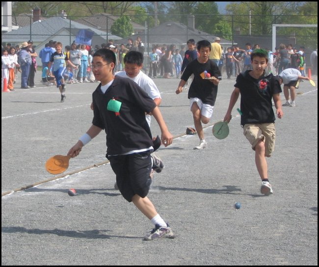Field 060.jpg
